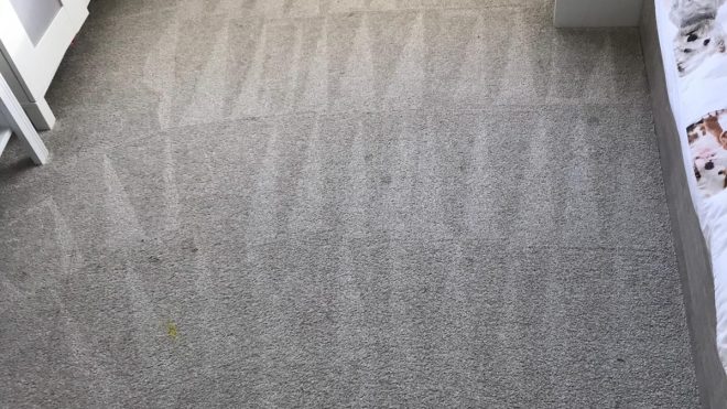 Carpet Cleaning Blanchardstown