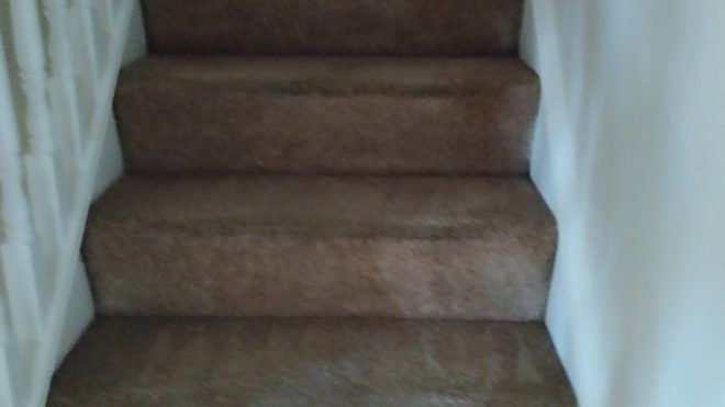 Carpet Cleaning Donaghmede