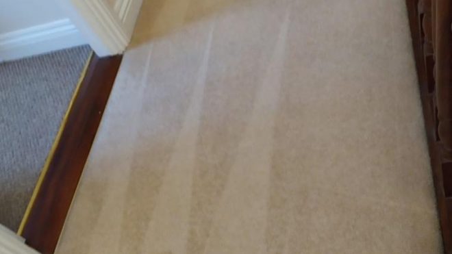 Carpet Cleaning Dun Laoghaire