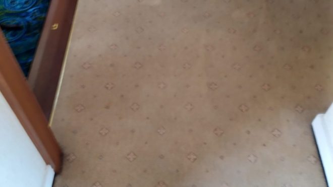 Carpet Cleaning Palmerstown