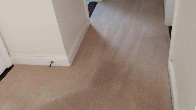Carpet Cleaning Tallaght