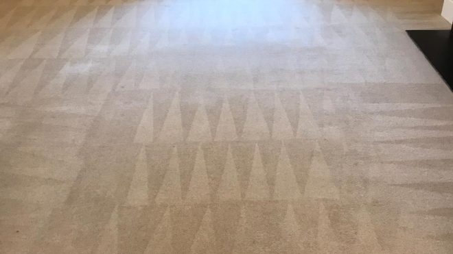 Carpet Cleaning Terenure